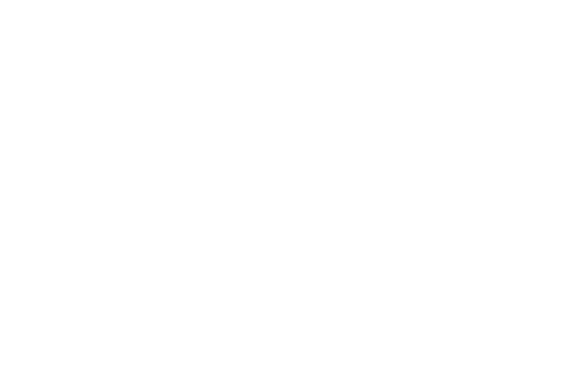 Animae Noctis Ry
